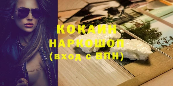 ПСИЛОЦИБИНОВЫЕ ГРИБЫ Инсар