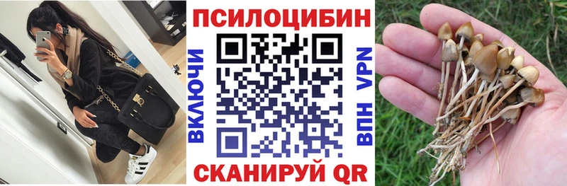 Псилоцибиновые грибы мухоморы  Купить закладки  Воткинск 